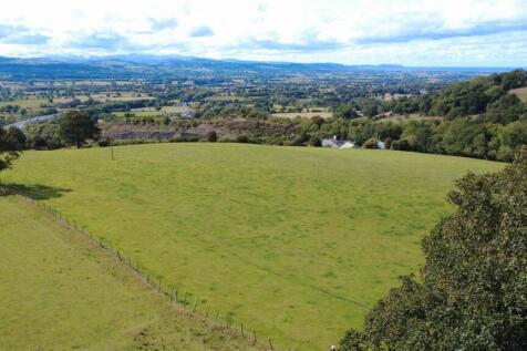 6.22 Acres (35).JPG