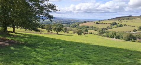 10.92 Acres.jpg