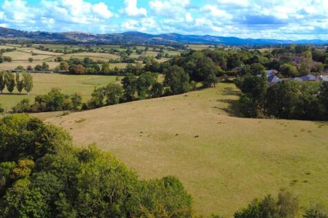 DJI_0368A.JPG