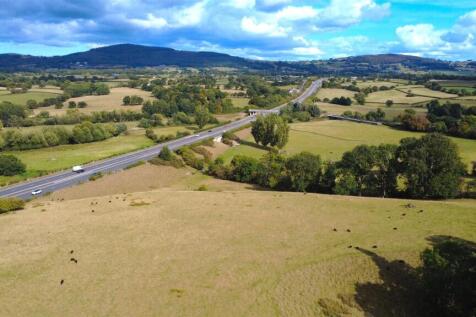 DJI_0375A.JPG