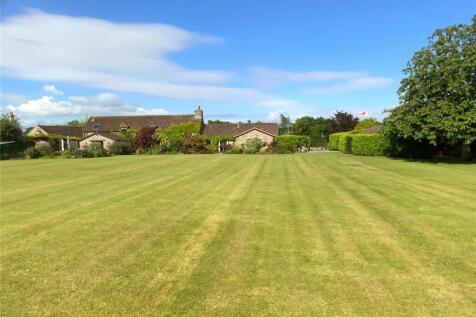 Garden and Rear