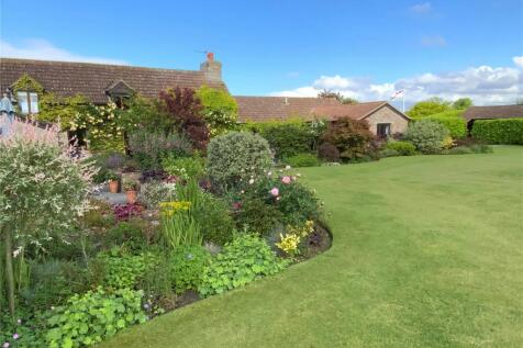 Flower Bed
