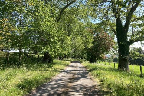 Estate Driveway