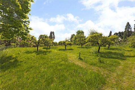 Orchard