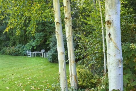 Grounds