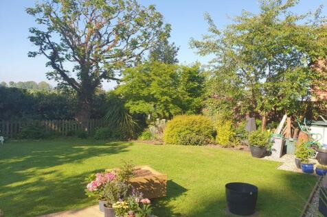 South facing garden 