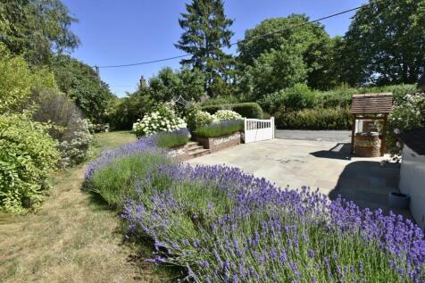 A GARDEN 5.JPG