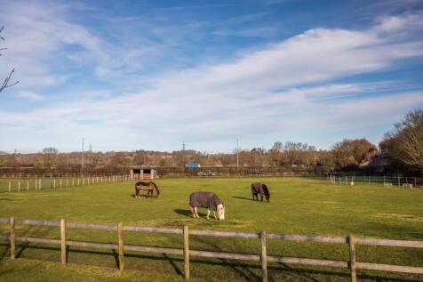 A PADDOCK-19.jpg