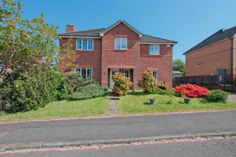 Property Image 28