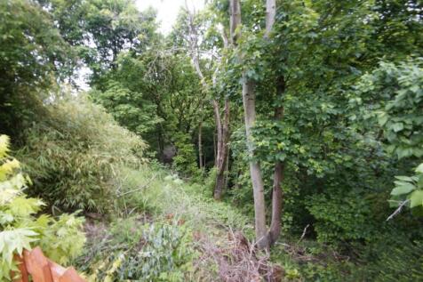 Woodland