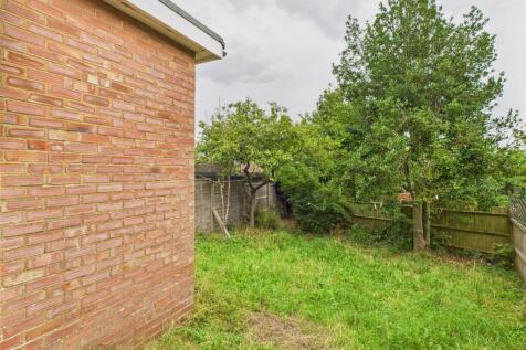 Back Garden