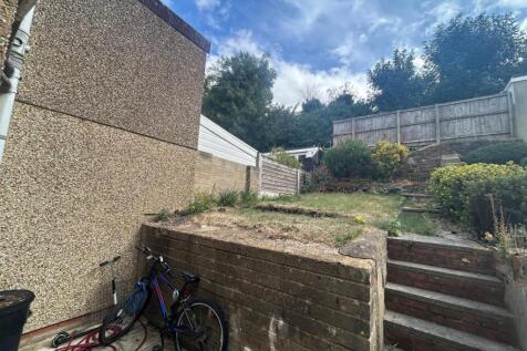 Back Garden