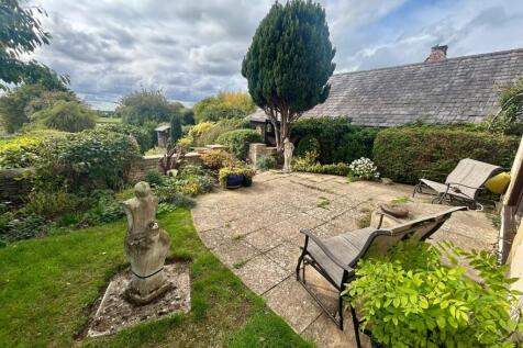 Back Garden