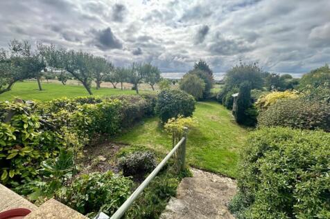 Back Garden