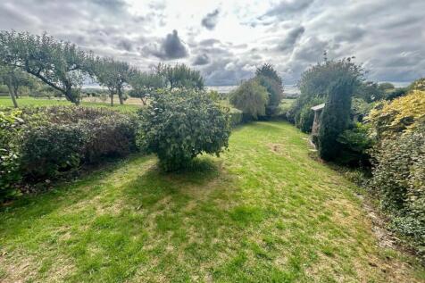 Back Garden