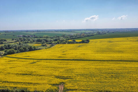 dji_fly_20250512_120202_292_1747047904875_photo_op