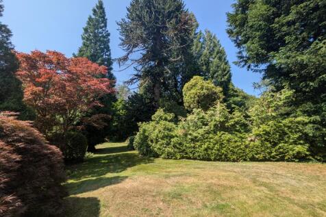 side garden