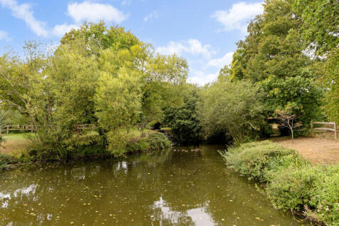 Pond