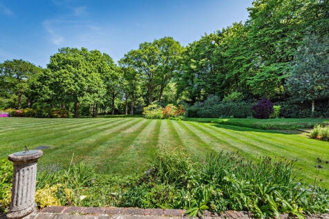 lawn