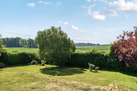 Garden and View