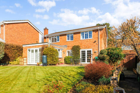 Rear Garden and Elevation