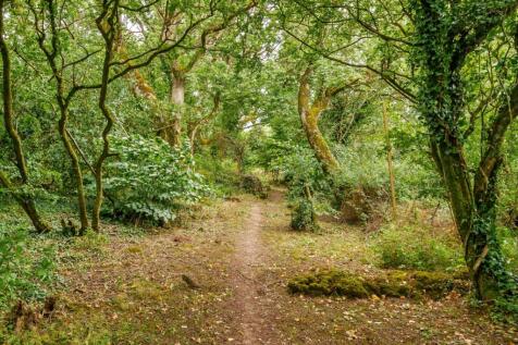 Property Image 39