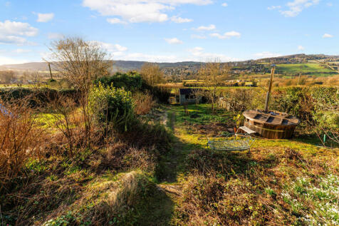 View from Cottage