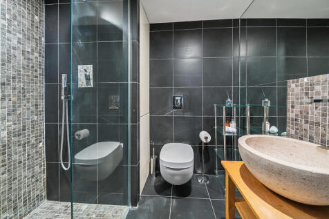 Annexe Shower Room