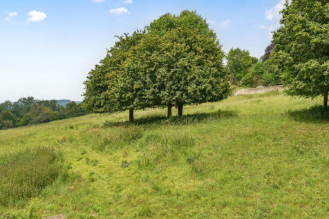 Field to Rear