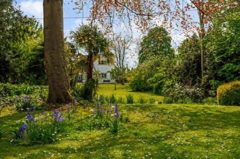 Property Image 33