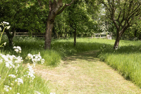 Property Image 22