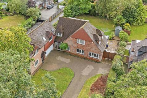 Elevated View