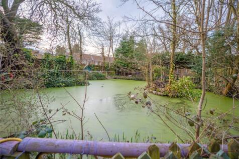 Pond