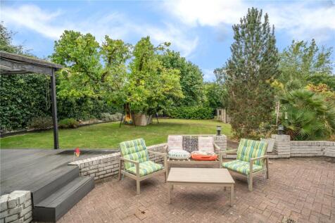 Sun Terrace