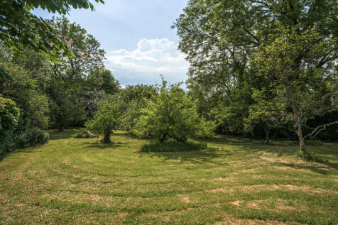 Orchard