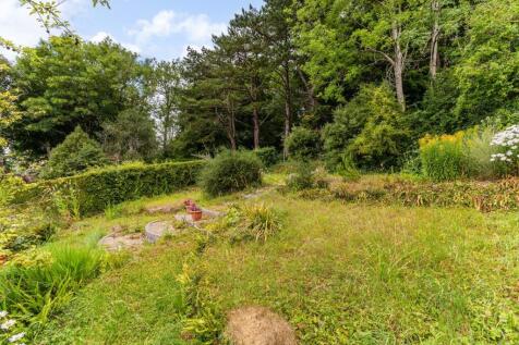 Back Garden