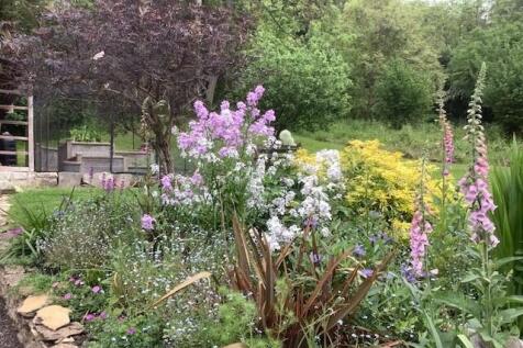 Summer Garden 1
