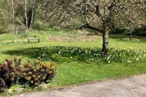 Summer Garden 2