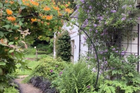 Summer garden 3