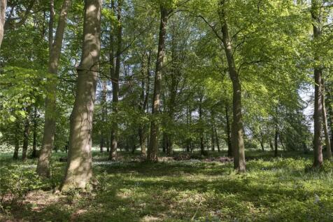 Woodland