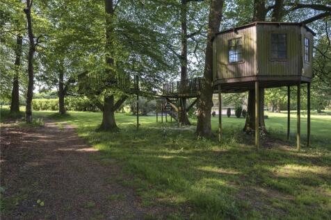 Tree House