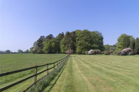 Lot 2 Paddock