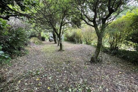 Orchard