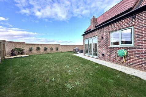 Garden 2