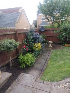 New Garden 1