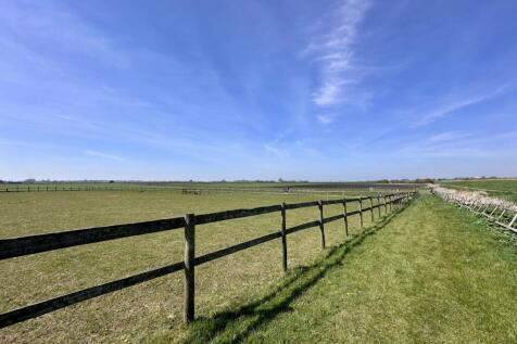 paddock