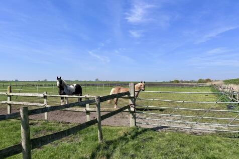 paddock 2