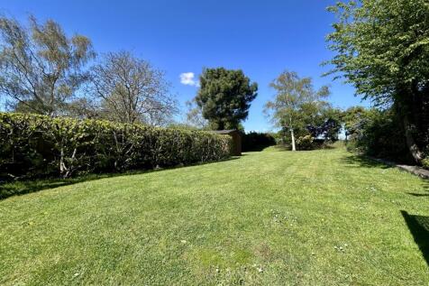 Garden 5