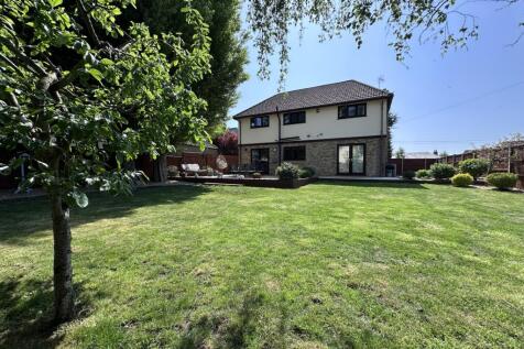 Rear garden 2