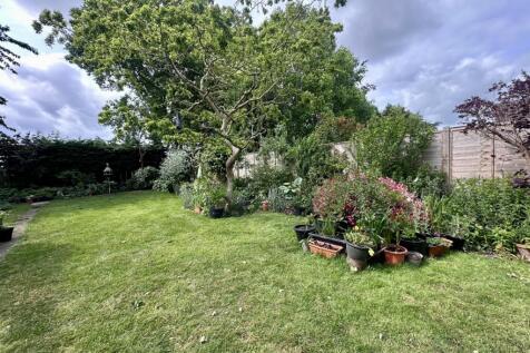 Garden 1
